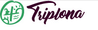Triplona
